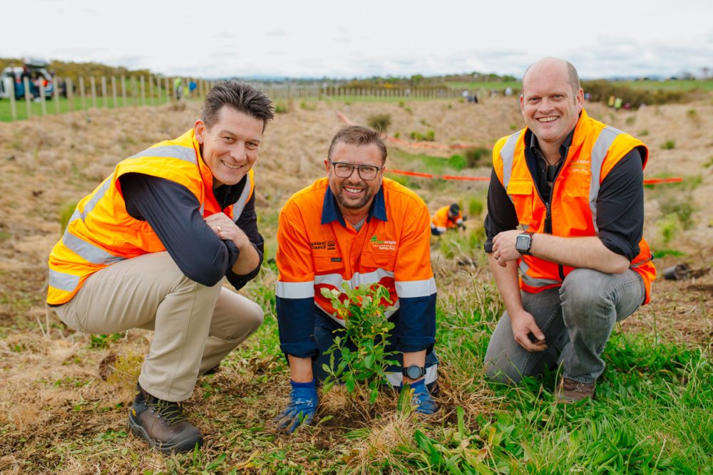 URBAN FOREST PROJECT